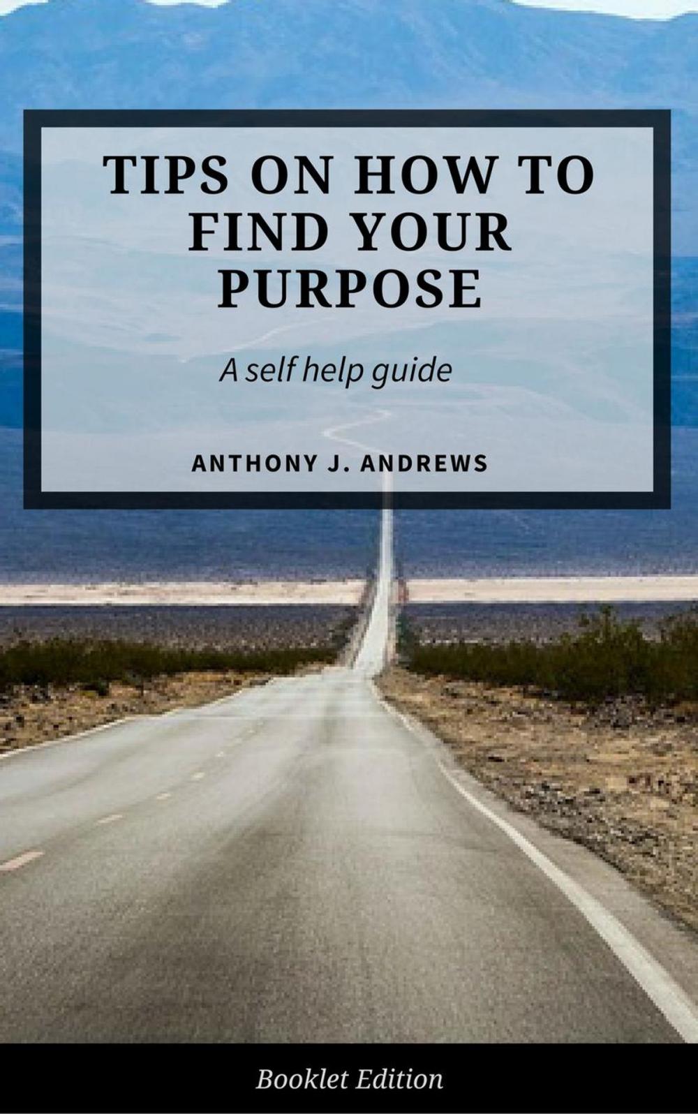 Big bigCover of Tips on How to Find Your Purpose