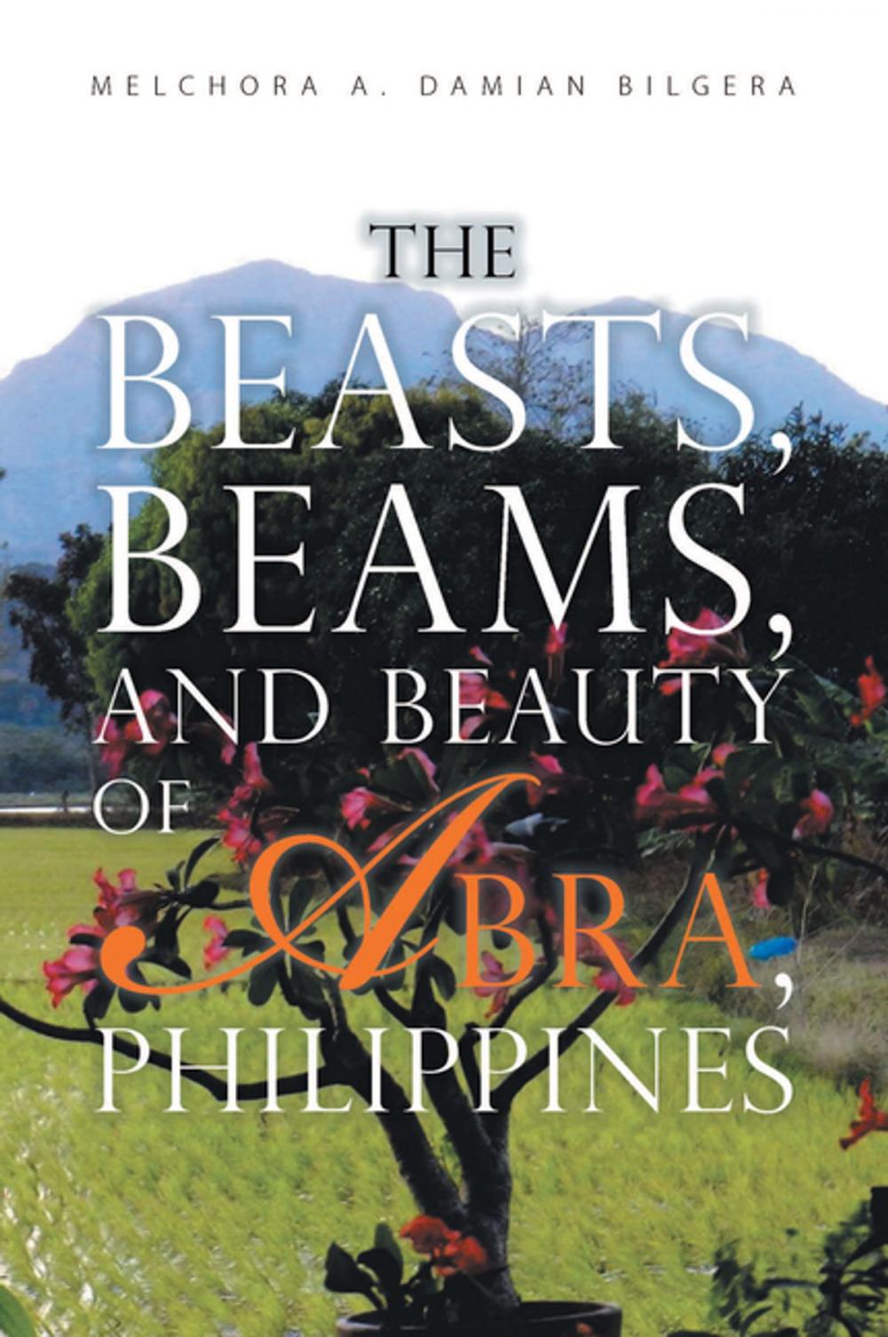 Big bigCover of The Beasts, Beams, and Beauty of Abra, Philippines