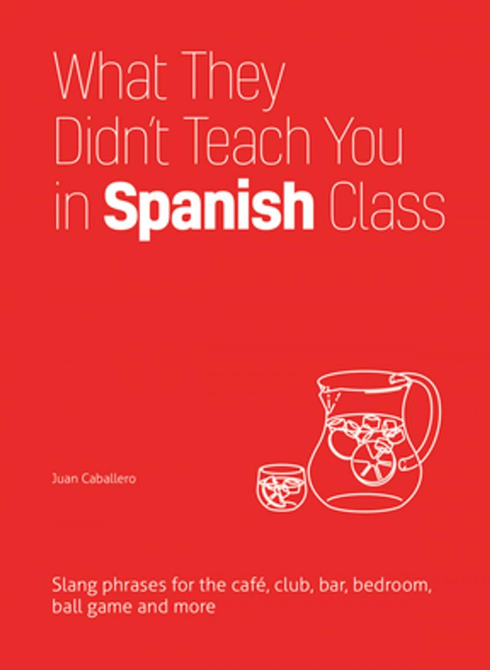 Big bigCover of What They Didn't Teach You in Spanish Class