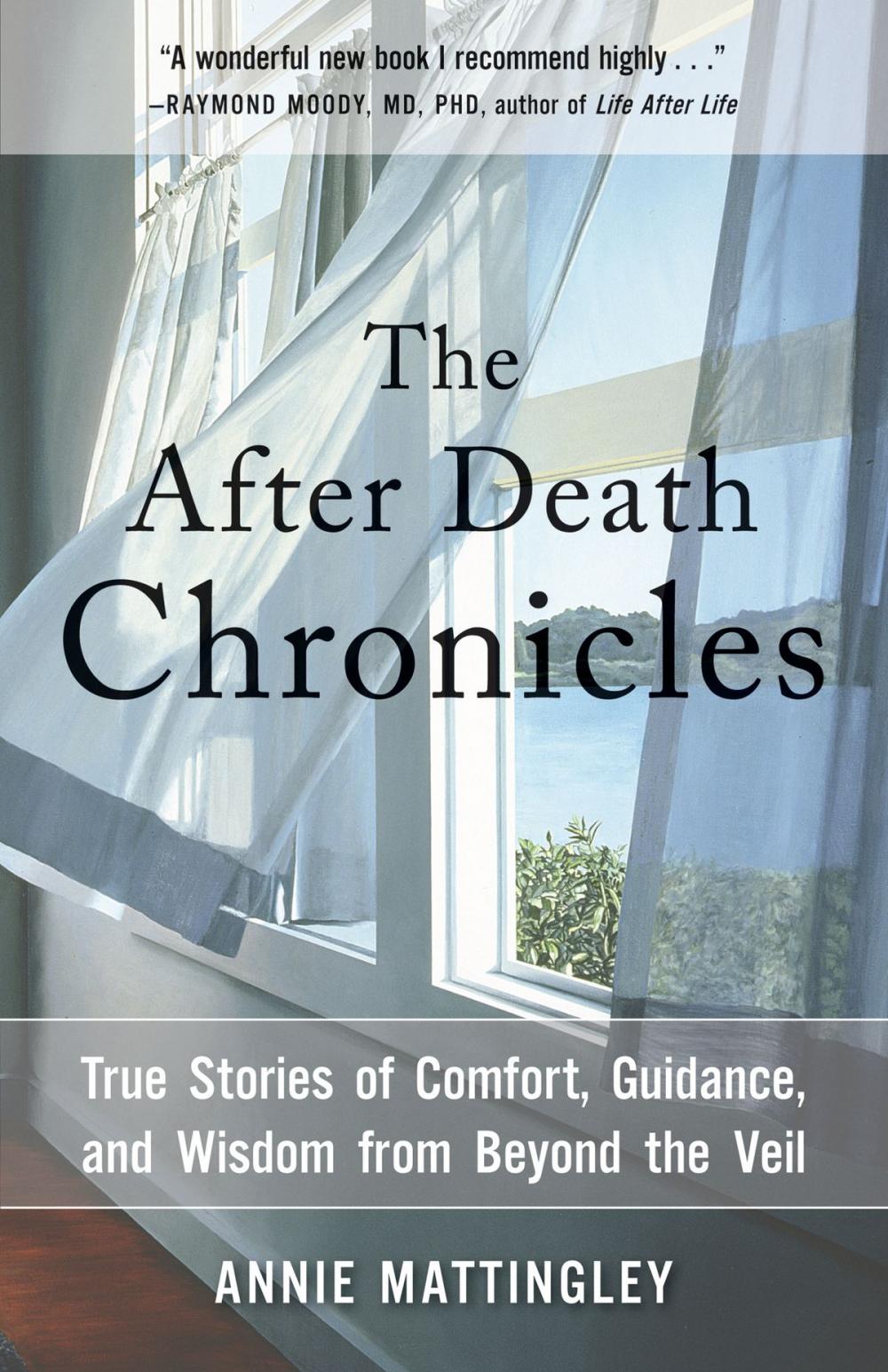 Big bigCover of The After Death Chronicles
