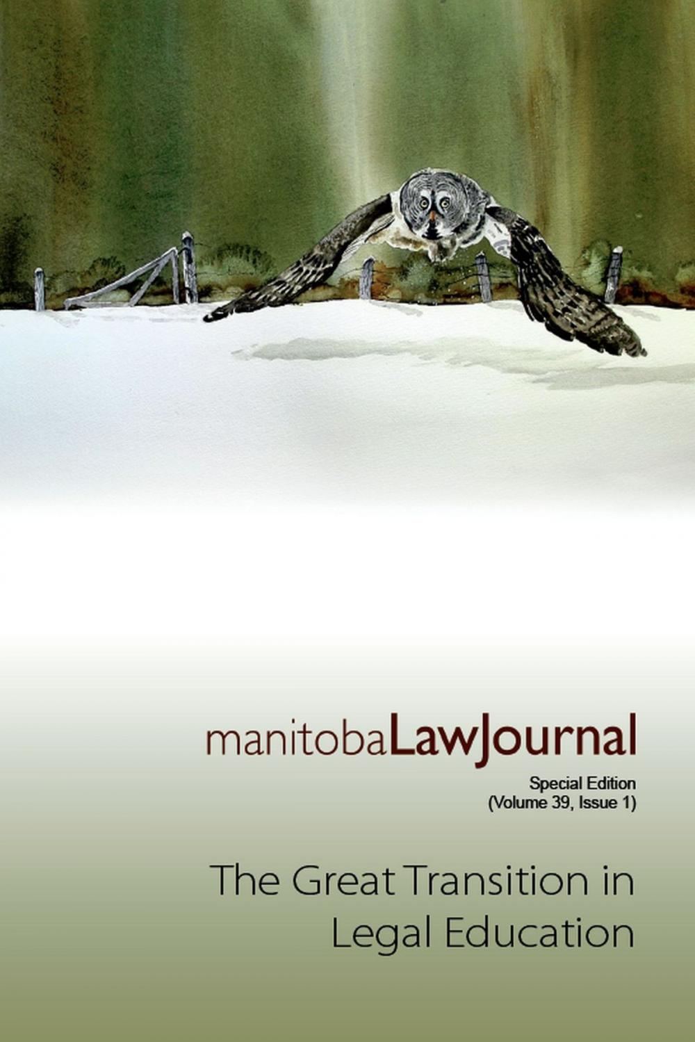 Big bigCover of The Great Transition in Legal Education