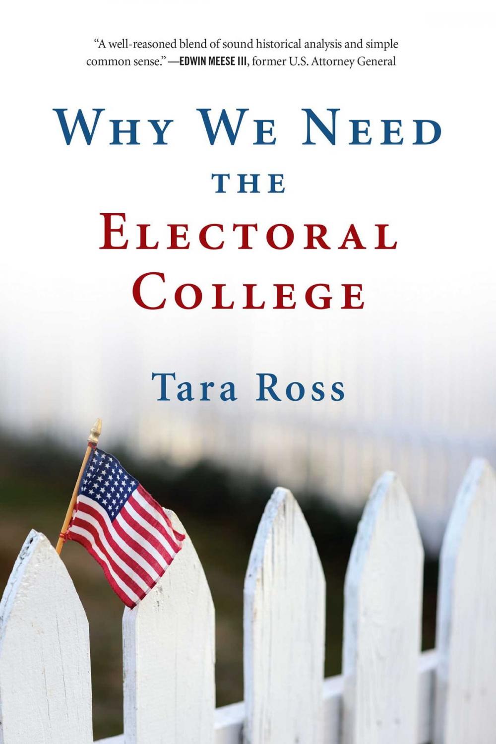 Big bigCover of Why We Need the Electoral College