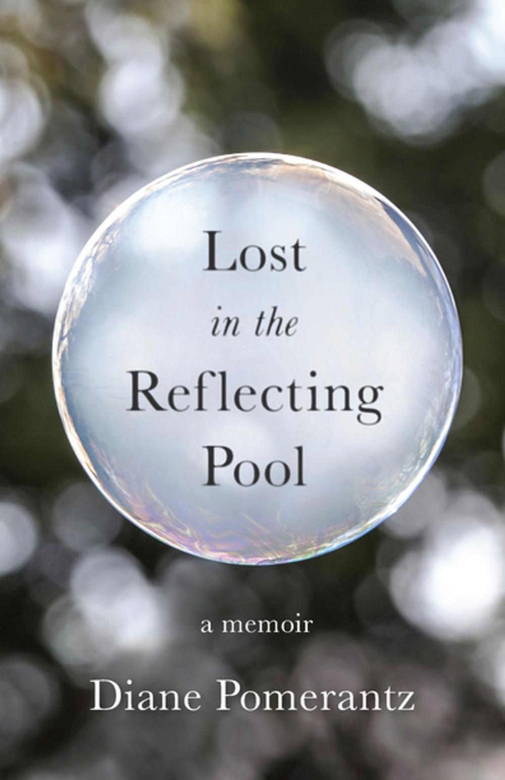 Big bigCover of Lost in the Reflecting Pool