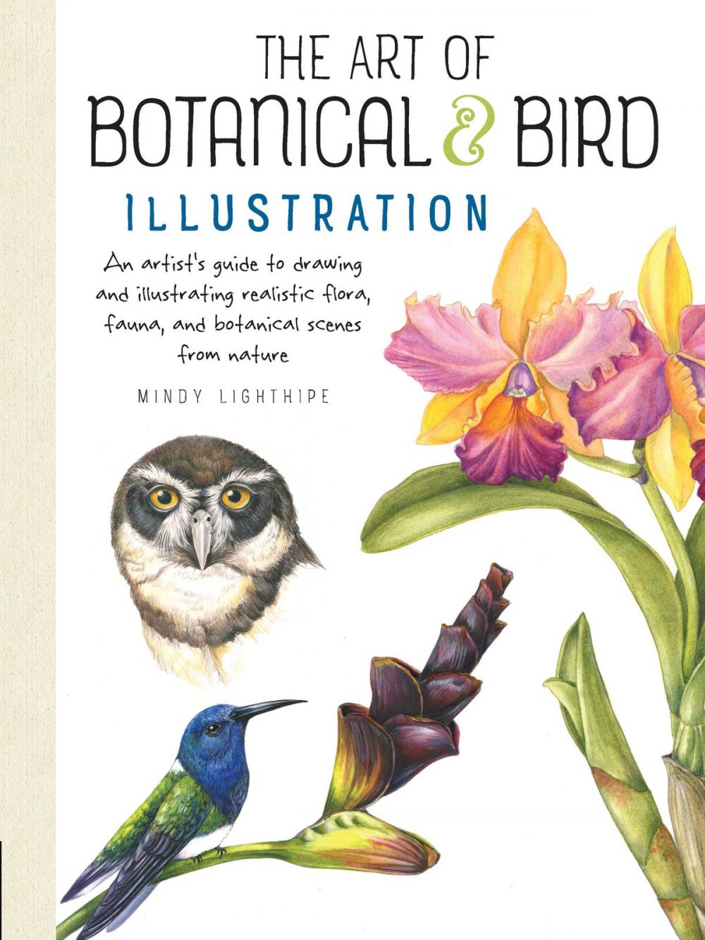 Big bigCover of The Art of Botanical & Bird Illustration