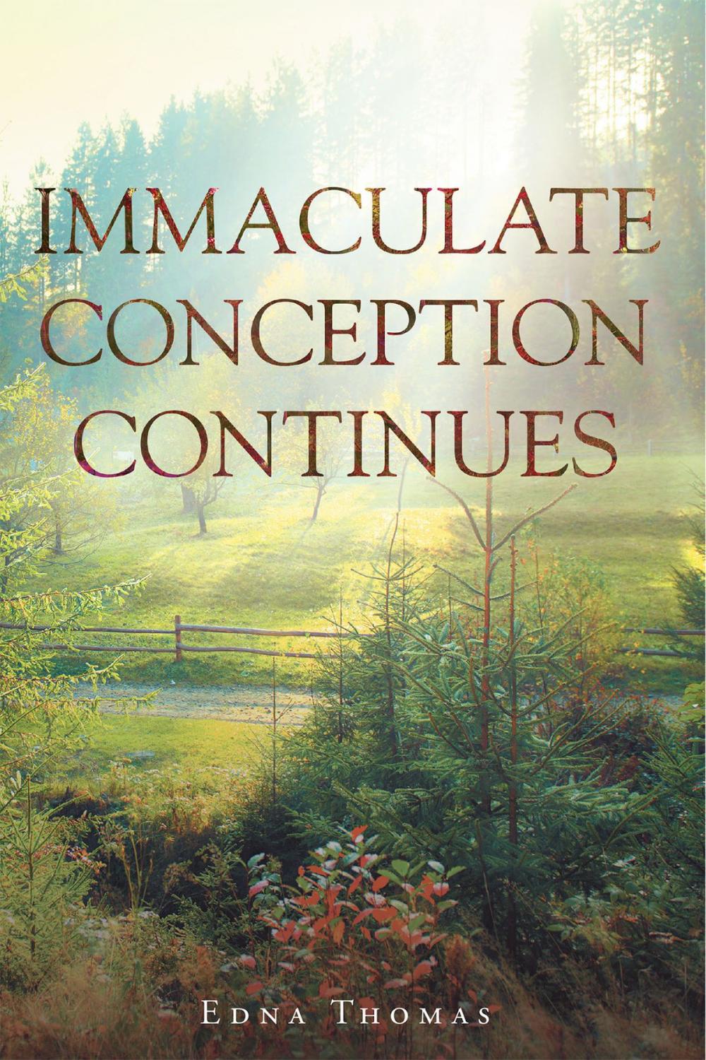 Big bigCover of Immaculate Conception Continues