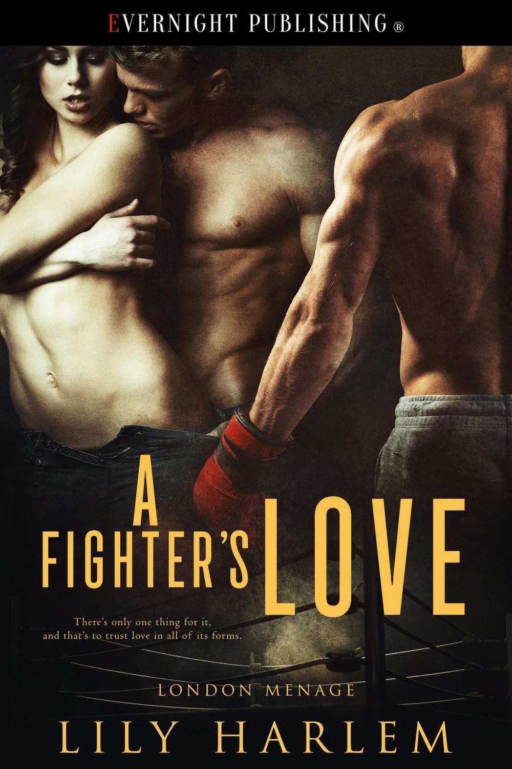 Big bigCover of A Fighter's Love