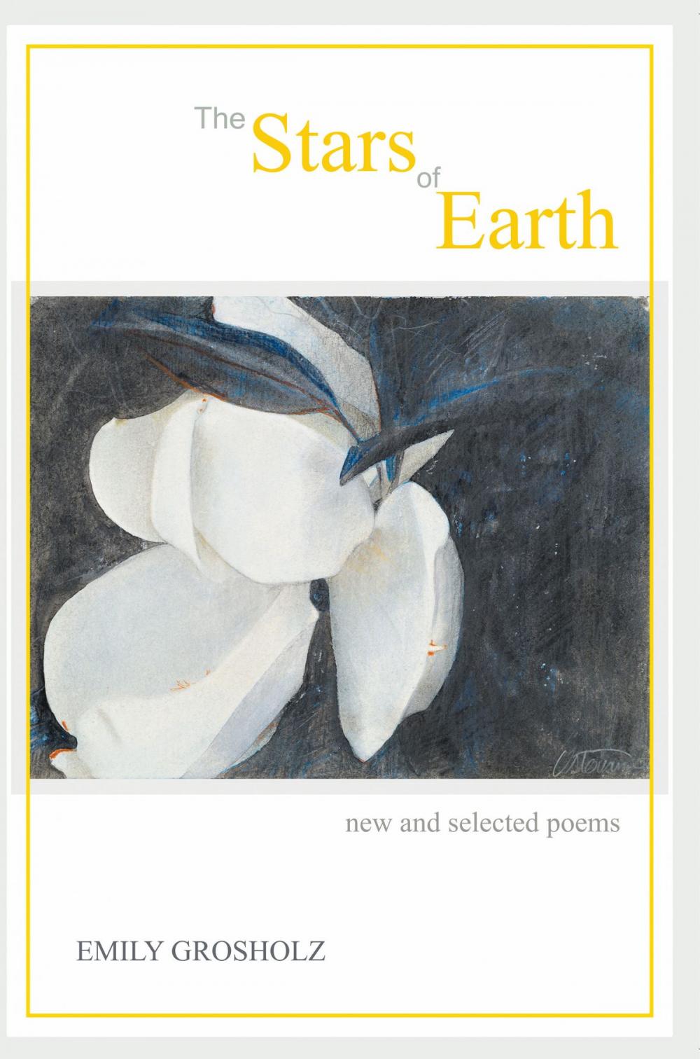 Big bigCover of The Stars of Earth - new and selected poems
