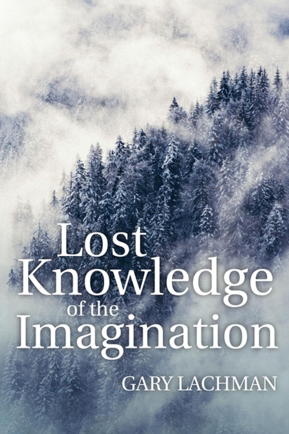 Big bigCover of Lost Knowledge of the Imagination