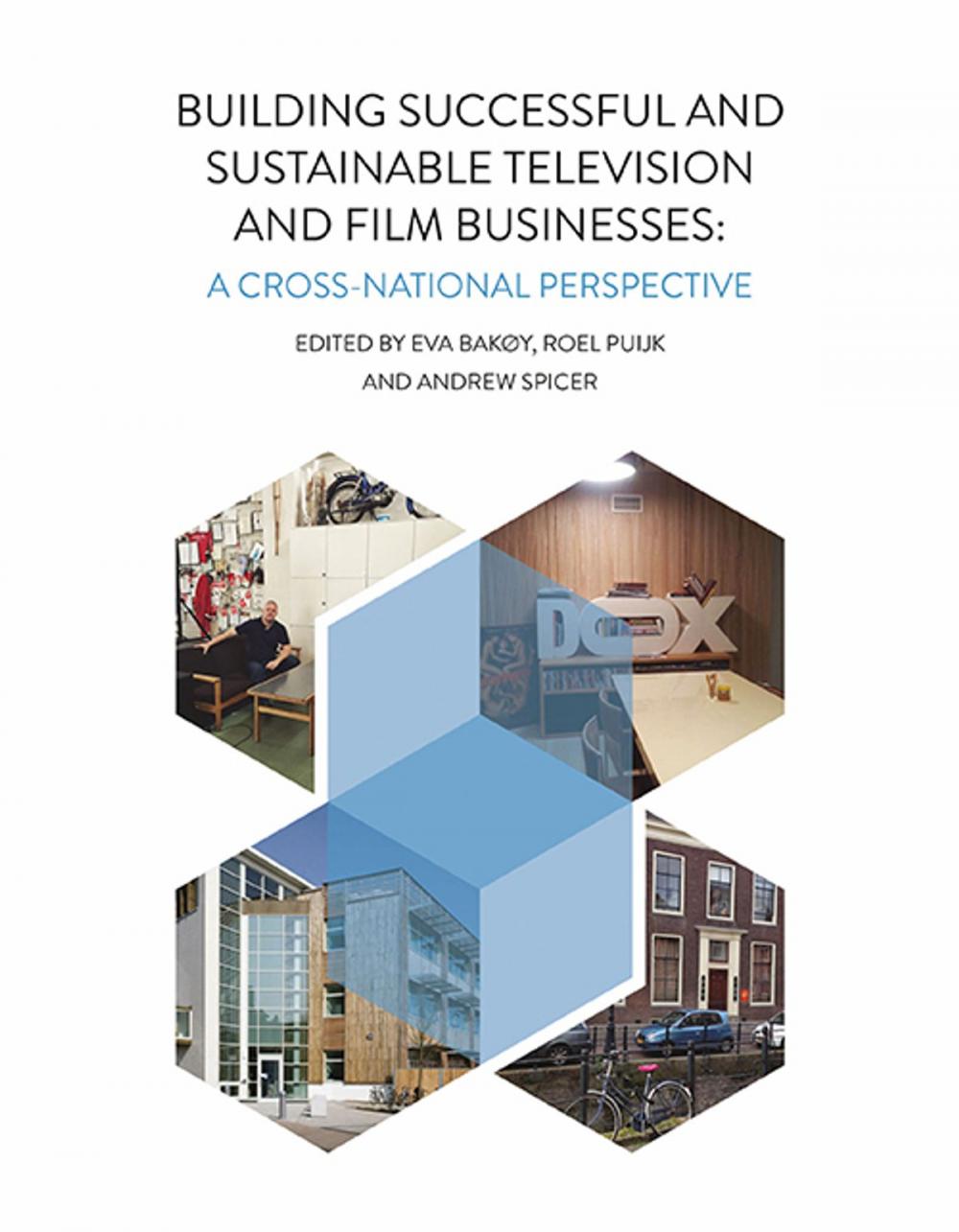 Big bigCover of Building Successful and Sustainable Film and Television Businesses