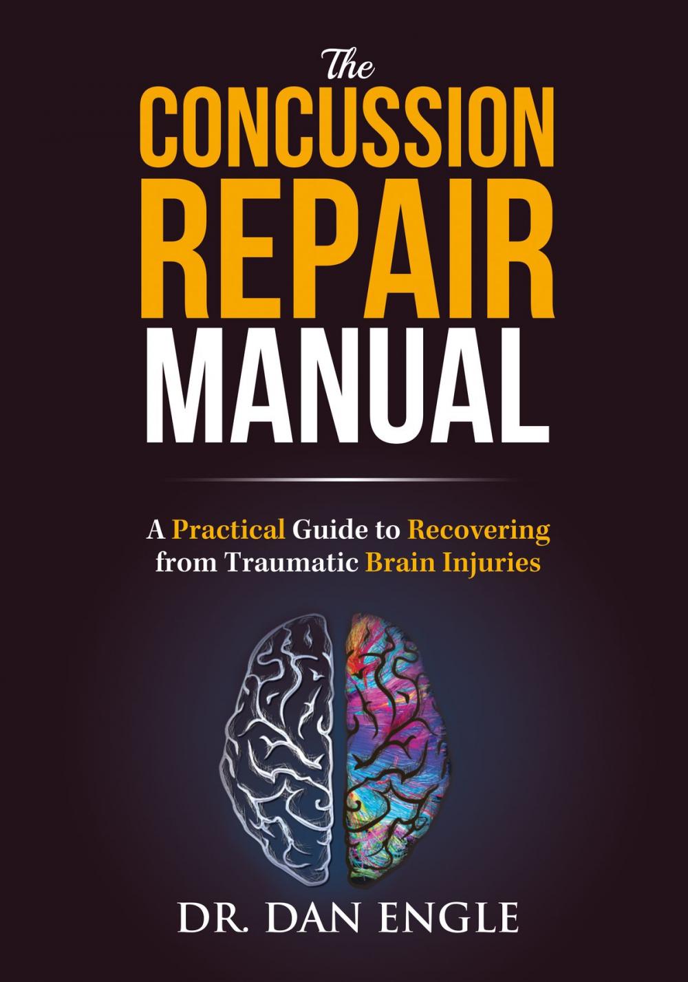 Big bigCover of The Concussion Repair Manual