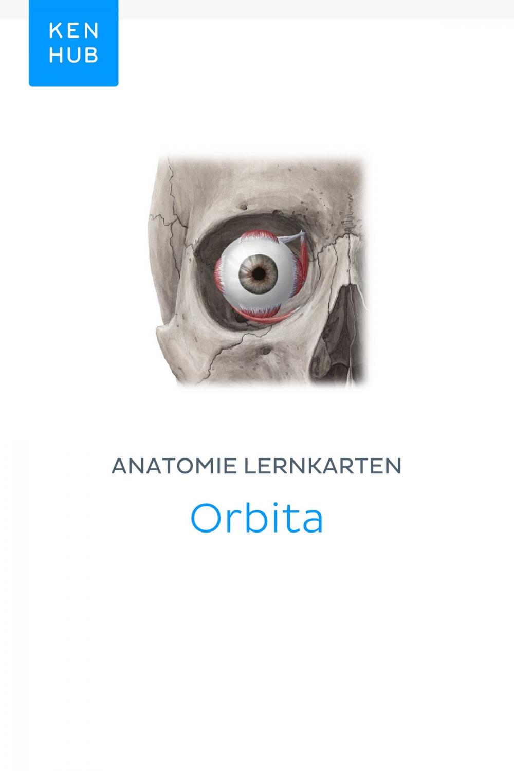 Big bigCover of Anatomie Lernkarten: Orbita