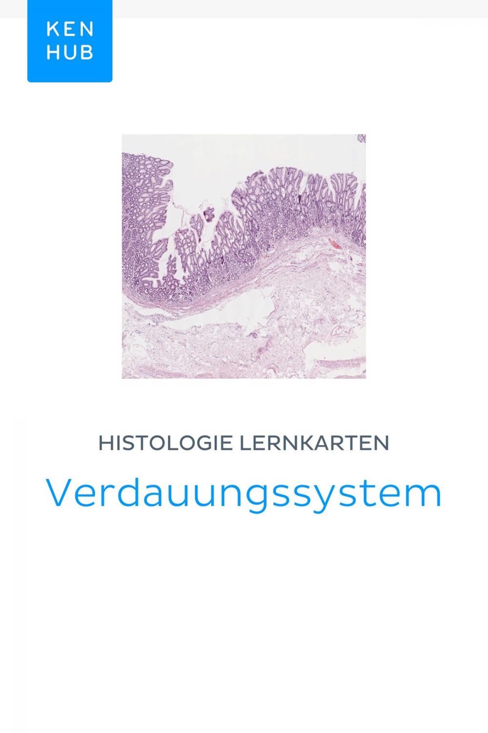 Big bigCover of Histologie Lernkarten: Verdauungssystem