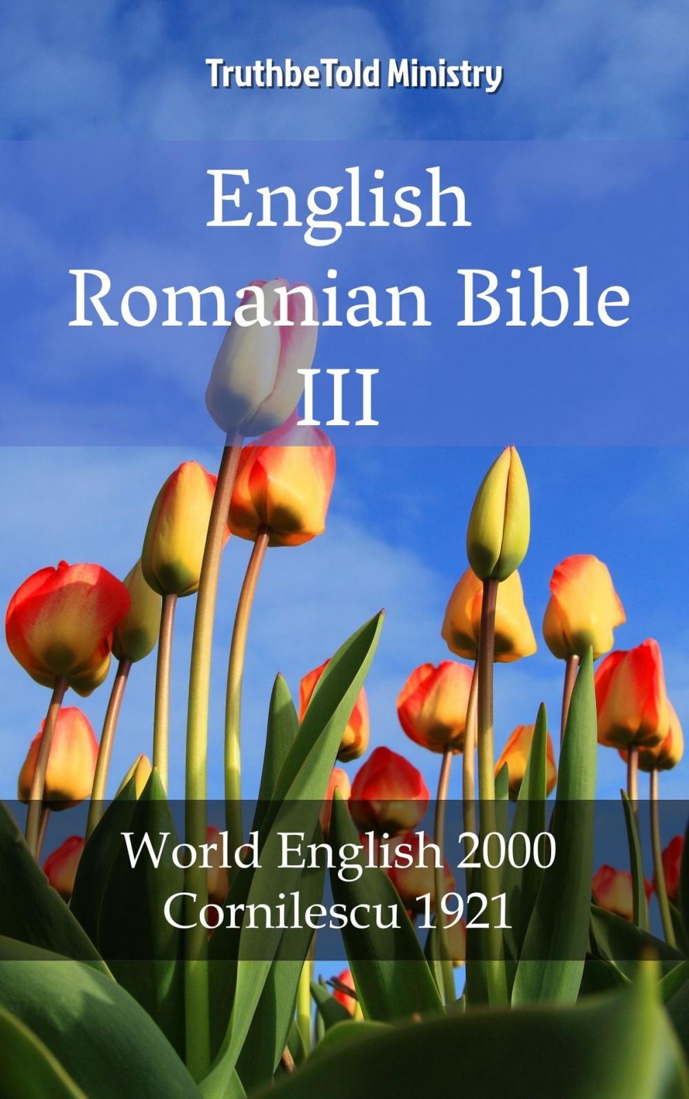 Big bigCover of English Romanian Bible III