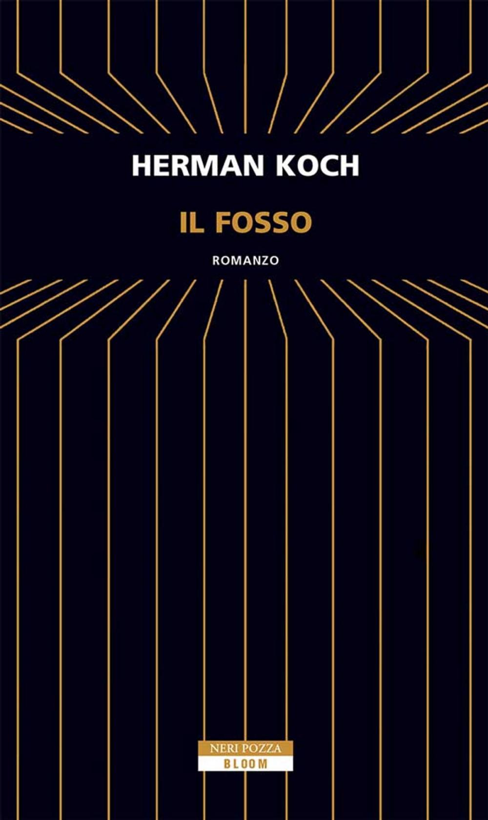Big bigCover of Il fosso