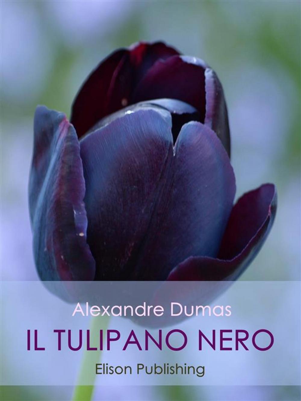 Big bigCover of Il tulipano nero