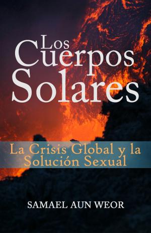Cover of the book LOS CUERPOS SOLARES by Diana Menschig, Sebastian Bartoschek