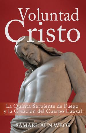 Cover of the book VOLUNTAD CRISTO by 卡特里娜‧翁斯塔 Katrina Onstad