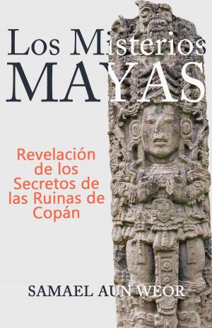 Cover of the book LOS MISTERIOS MAYAS by P. Pavri