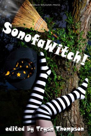 Cover of the book SonofaWitch! by Bascomb James, Gregory Benford, Eric Choi, Elizabeth Bear, Sam S. Kepfield, K. G. Jewell, Peter Wood, Kat Otis, Tracy Canfield, Wendy Sparrow, Jonathan Shipley, Julie Frost, Jakob Drud, Barbara Davies, David Wesley Hill