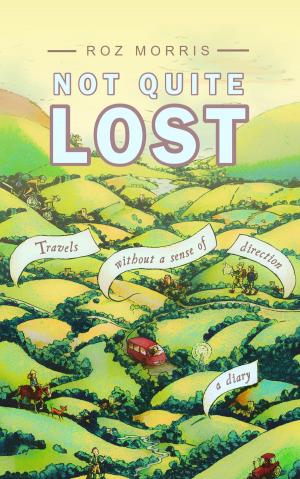 Cover of the book Not Quite Lost: Travels Without A Sense of Direction by SparkNotes