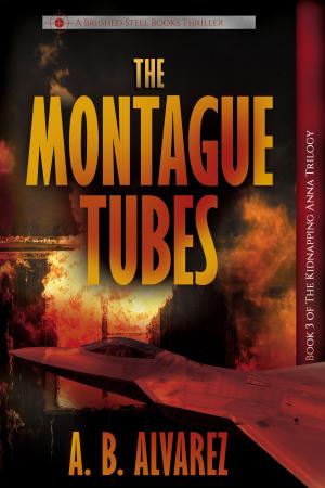 bigCover of the book The Montague Tubes by 