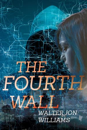 Cover of the book The Fourth Wall by Patricia Renard Scholes