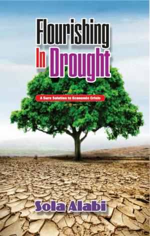 bigCover of the book Flourishing in Drought by 