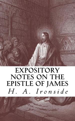 Cover of the book Expository Notes on the Epistle of James by H. A. A. Kennedy