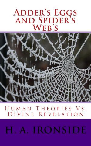 Book cover of Adder's Eggs and Spider's Web's