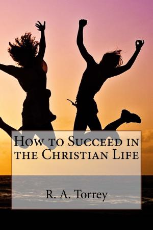 Cover of the book How to Succeed in the Christian Life by Menno Simon