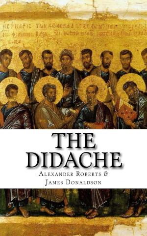 Cover of the book The Didache by David Allen Reed