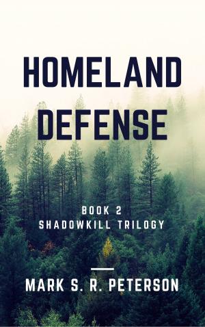 Cover of the book Homeland Defense: Book 2 of the Shadowkill Trilogy by Alan VanMeter