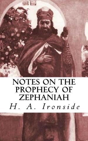 Cover of the book Notes on the Prophecy of Zephaniah by Dennis Schave