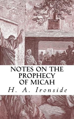 bigCover of the book Notes on the Prophecy of Micah by 