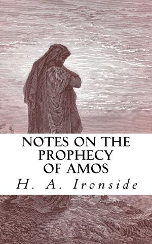bigCover of the book Notes on the Prophecy of Amos by 
