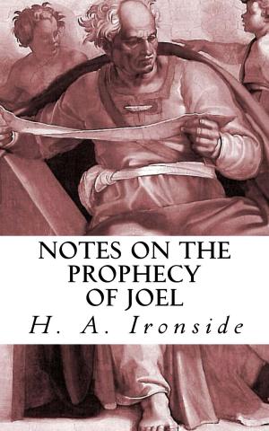 Cover of the book Notes on the Prophecy of Joel by William Tyndale