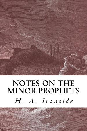 Book cover of Notes on the Minor Prophets