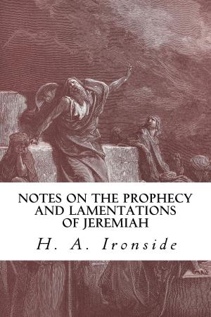Book cover of Notes on the Prophecy and Lamentations of Jeremiah