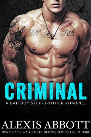 Cover of the book Criminal by Delilah Fawkes
