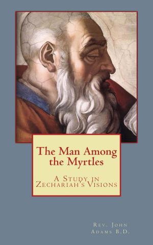 Cover of the book The Man Among the Myrtles by Adriana Destro, Francesco Pesce, Erio Castellucci, Elena Lea Bartolini De Angeli
