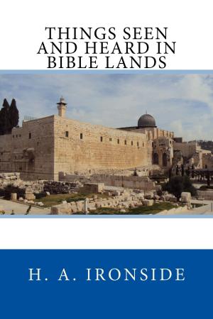 Book cover of Things Seen and Heard in Bible Lands
