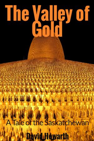 Book cover of The Valley of Gold
