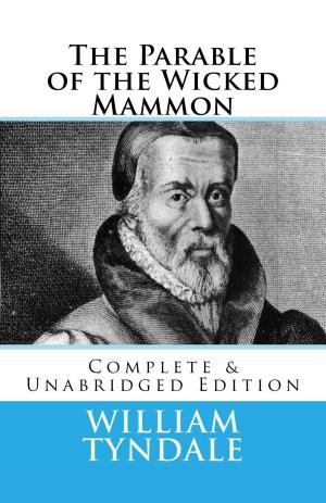 Book cover of The Parable of the Wicked Mammon