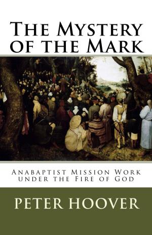 Cover of the book The Mystery of the Mark by Horatius Bonar