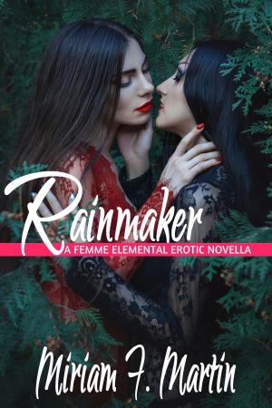 Cover of the book Rainmaker by Miriam F. Martin