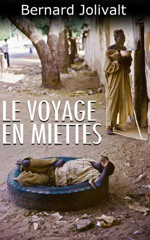 Book cover of Le voyage en miettes