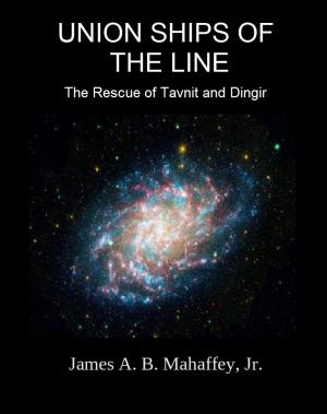 Cover of the book Union Ships of the Line by Matt Schmitz