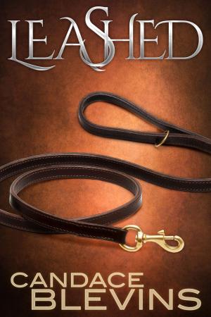 Cover of the book Leashed by Tracey DeSanto