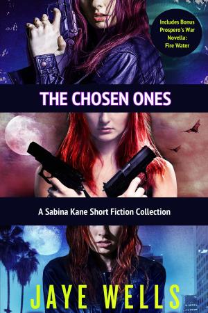 Cover of the book The Chosen Ones by Matt Schmitz