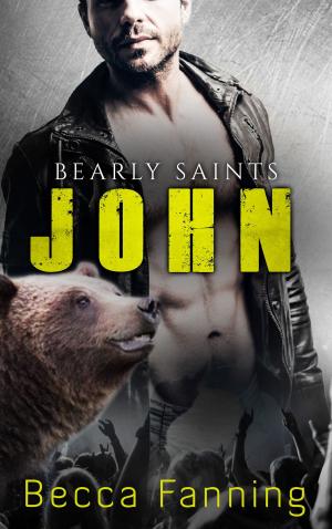 Book cover of John